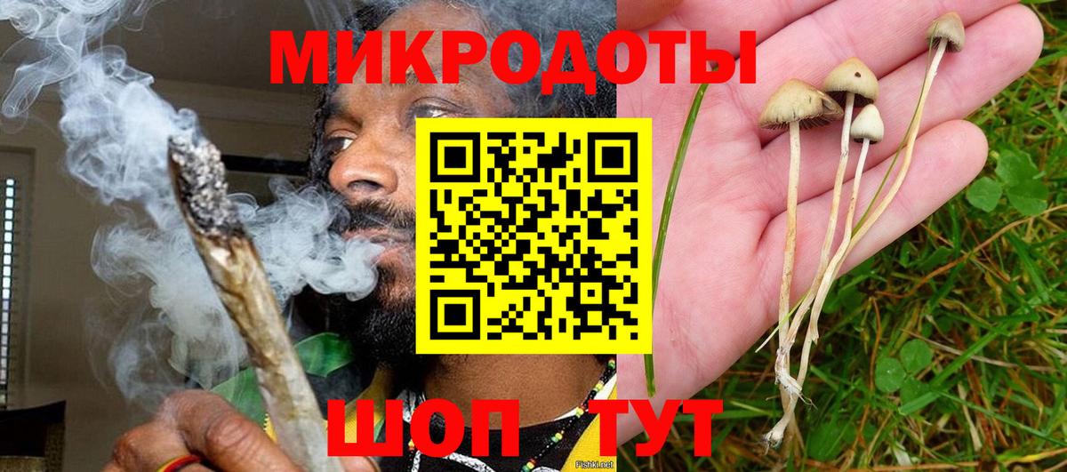 даркнет сайт  Вход с VPN  Ахтубинск  Галлюциногенные грибы Cubensis 
